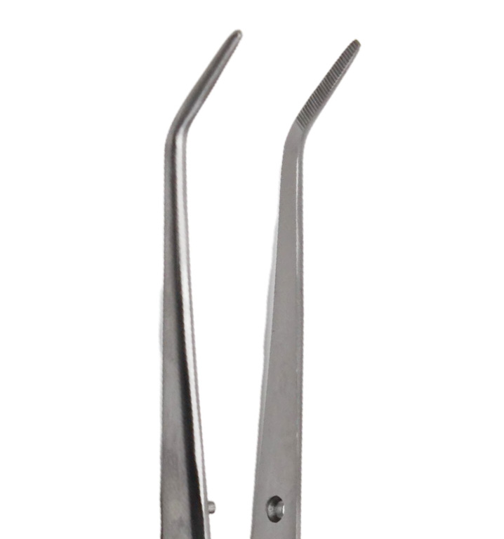 College Tweezer, 15cm, short sereted