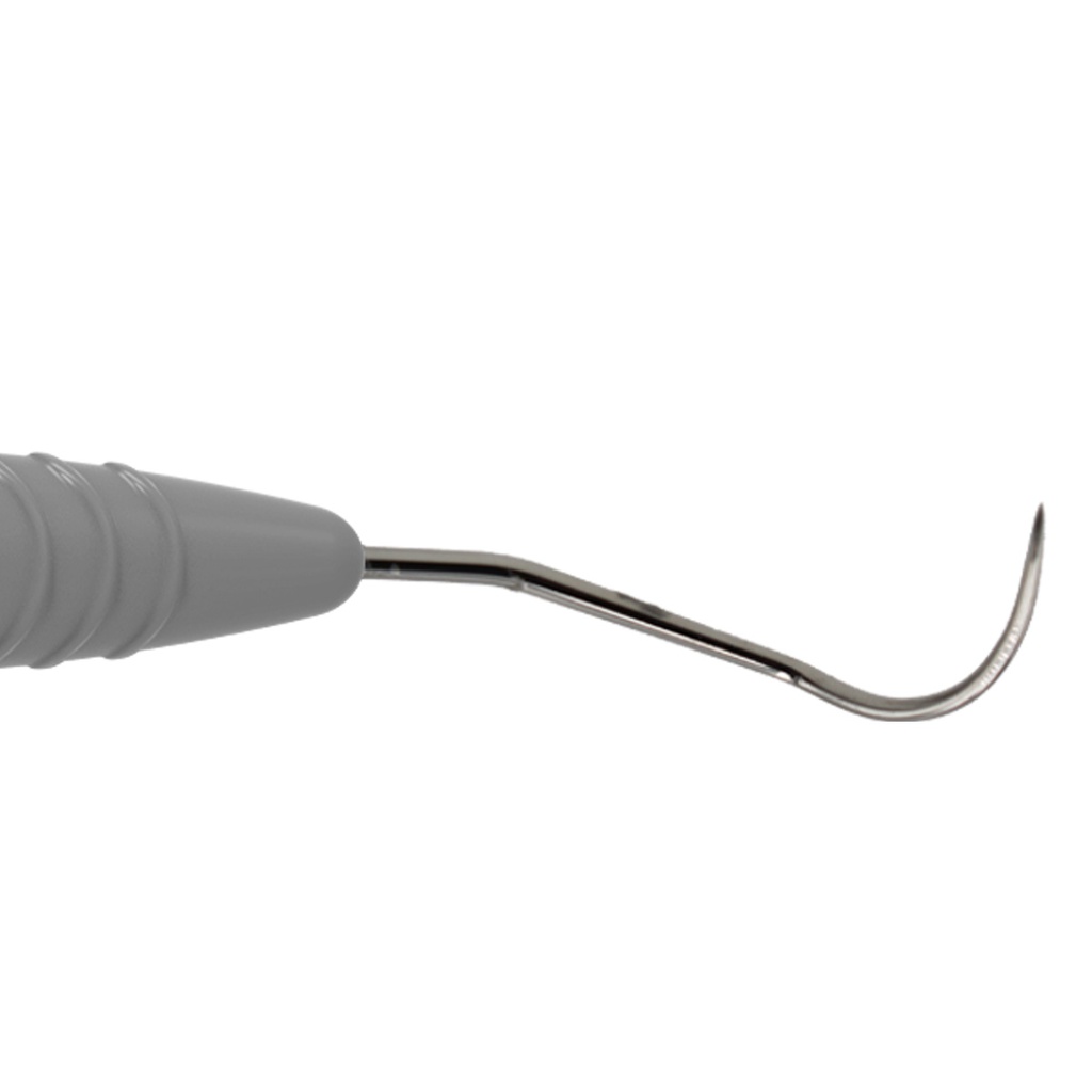 furcation probe