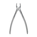 Incisors, upper jaw