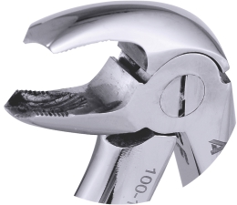 Extracting Forceps Klein Lower Molars 10cm