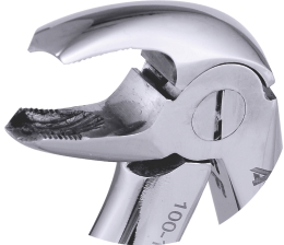 Extracting Forceps Klein Lower Molars 10cm Diamond Tip
