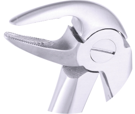 Extracting Forceps Fig.33 A Lower Roots