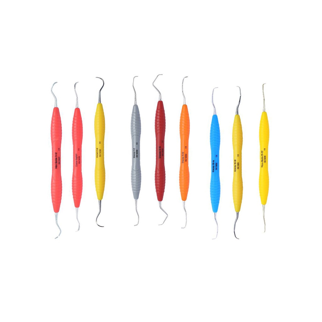 All-Round Perio Set (w/h stainless cassette)