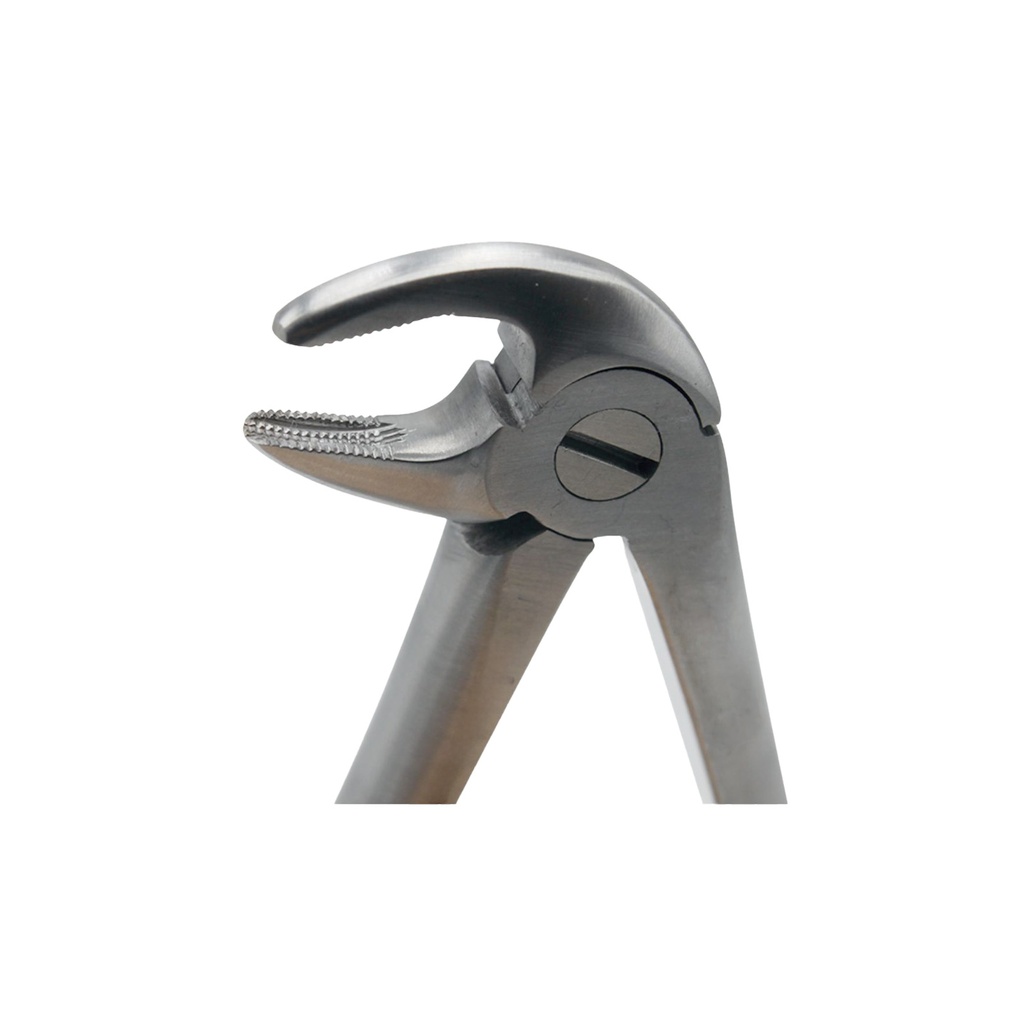 Extracting Forceps for Junior - Fig. 33 A Lower Roots