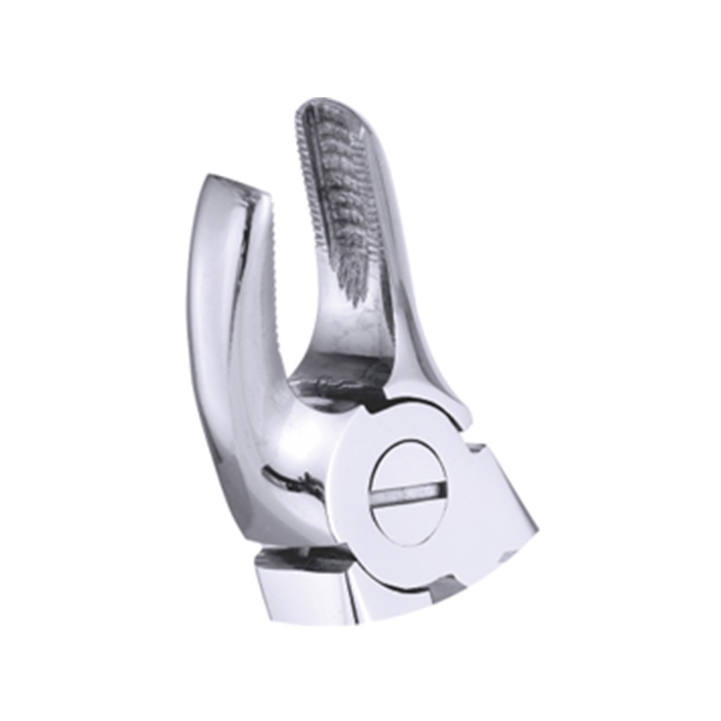 Extracting Forceps Klein Upper Premolars 10cm