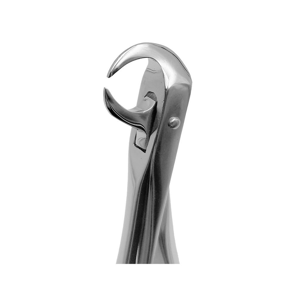 Extracting Forceps Fig.86 C Lower Molars Cow Hom Beak