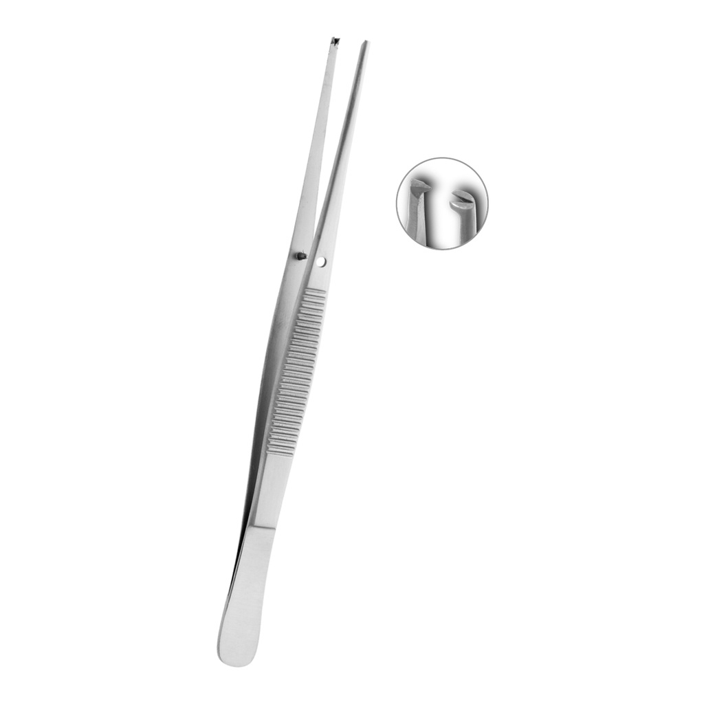 Semken-Taylor Straight 1:2 Teeth 12cm