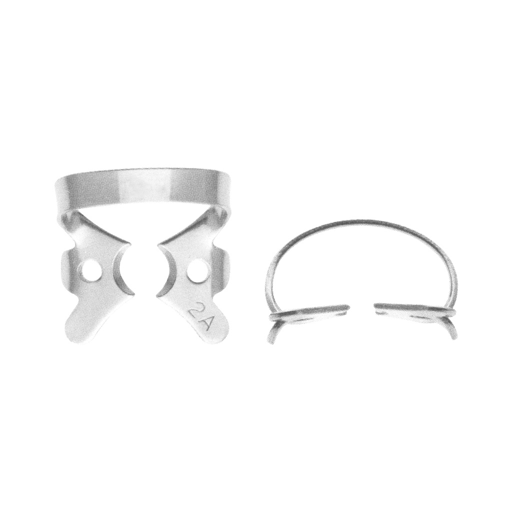 Fig.2A Flat and Large Jaws for Lower Premolars Tooth: 20-21-28-29