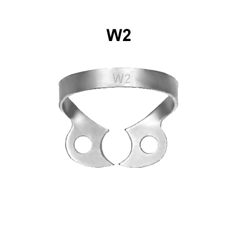 Premolars: W2 (Rubberdam clamps)