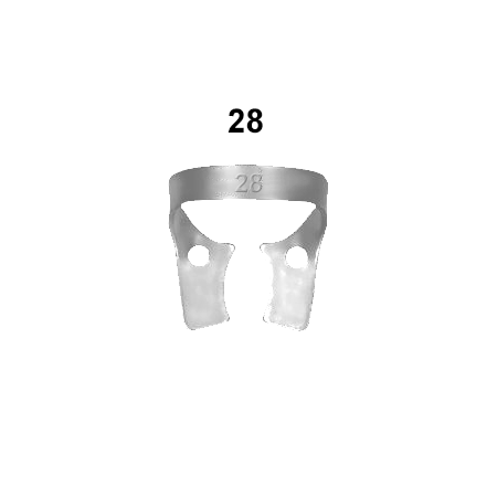 Lower jaw molars: 28 (Rubberdam clamps)
