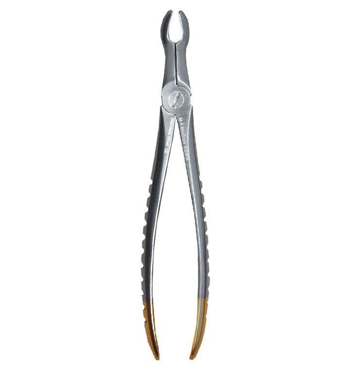 Upper molars & wisdom teeth