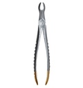 Upper molars & wisdom teeth