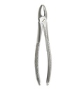 Fig.1 Upper Incisors & Canines