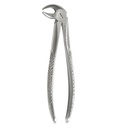 Extracting ForcepsFig.13 Lower Premolars