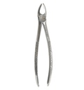 Fig.18 Upper Molars Left