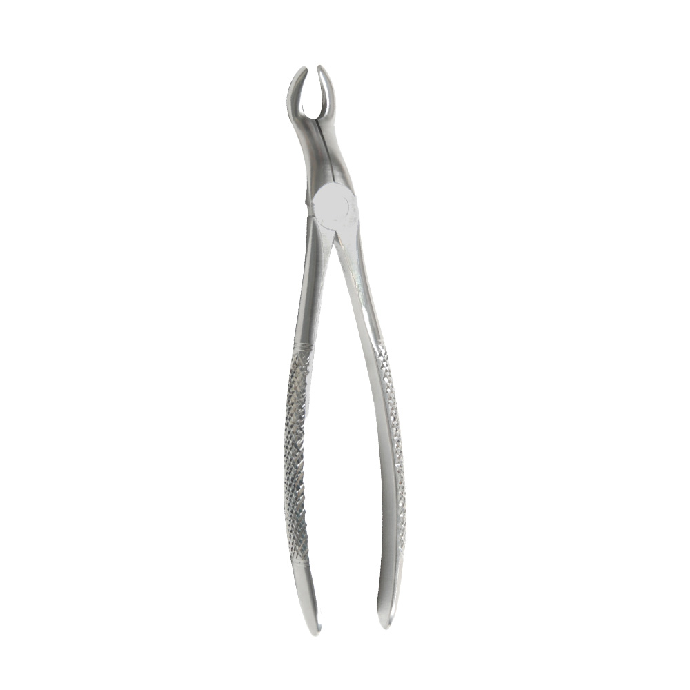 Fig.67 Upper Third Molars 18cm