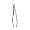 Fig.67 Upper Third Molars 18cm