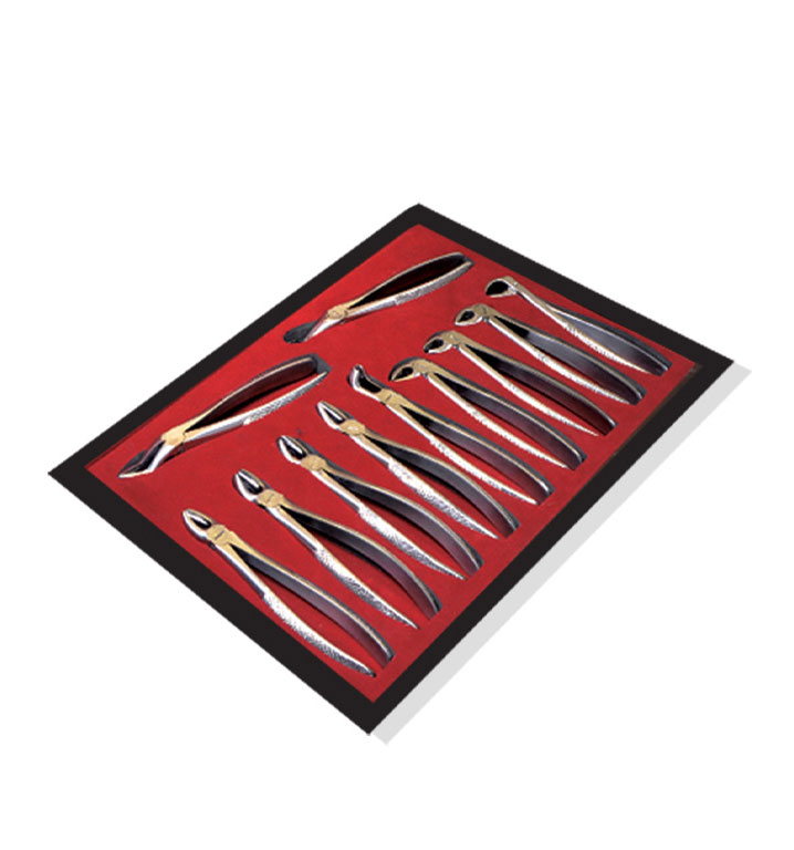 Extracting Forceps Standard Set of 11 Leather Case