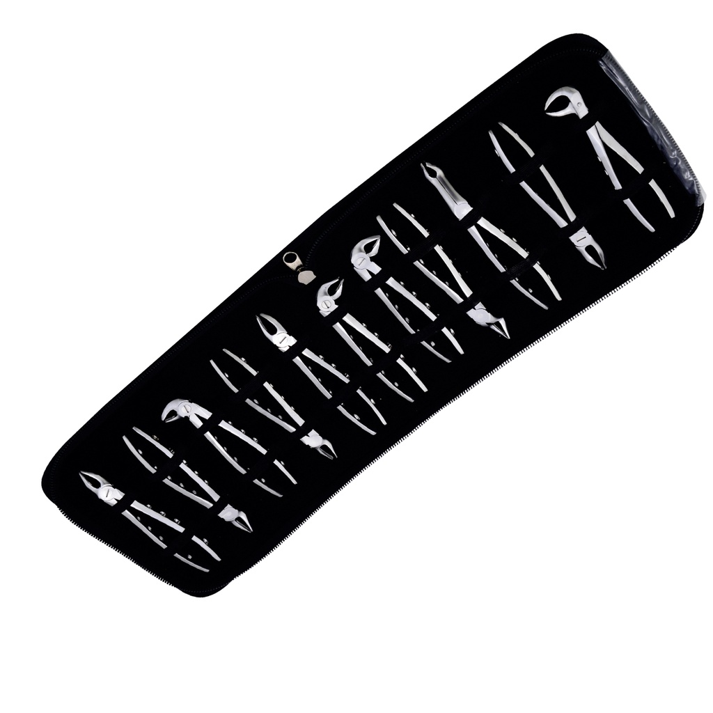 Anatomical Extracting Forceps Set of 11 Leather Case