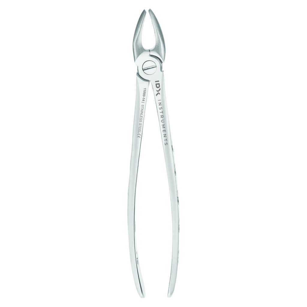 Fig.1 Upper Incisors & Canines 16.5cm