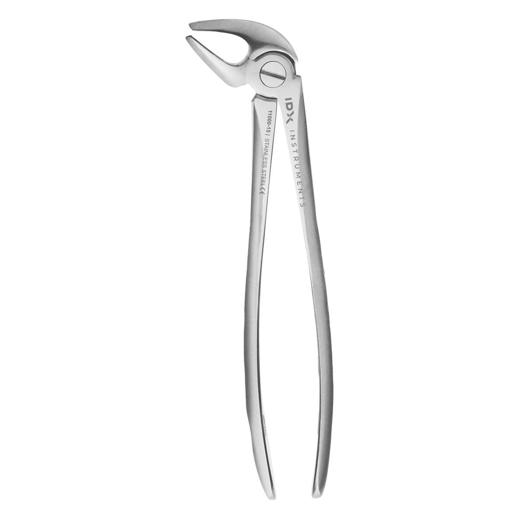 Fig.4 Lower Incisors & Canines 16.5cm