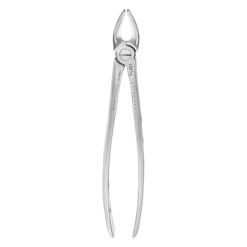 Fig.7  Upper Premolars 16.5cm