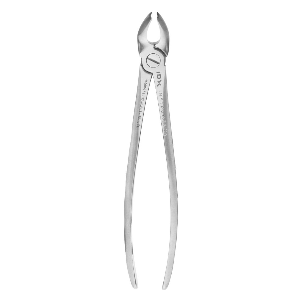 Fig.8 Upper Premolars