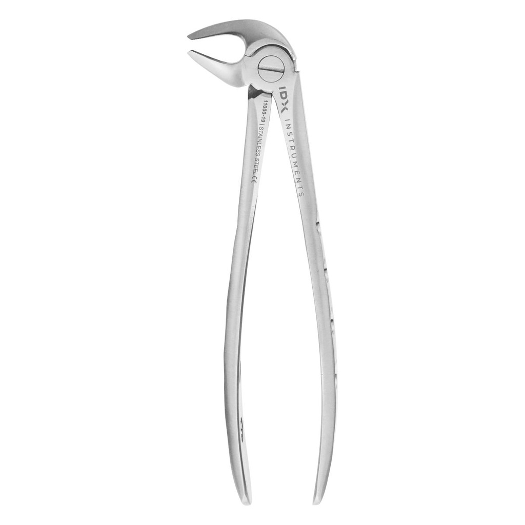 Fig.13A Lower Incisors & Canines