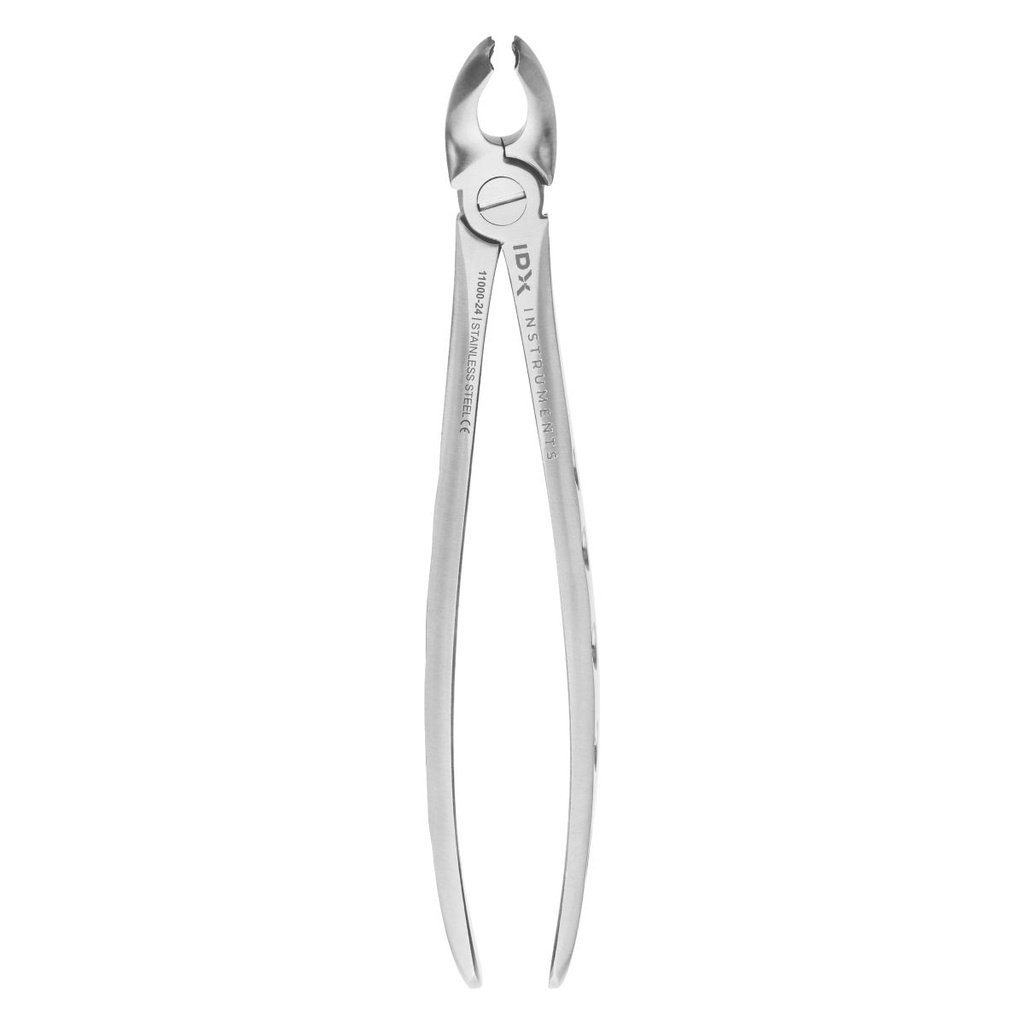 Fig.21 Lower Molars Either Side