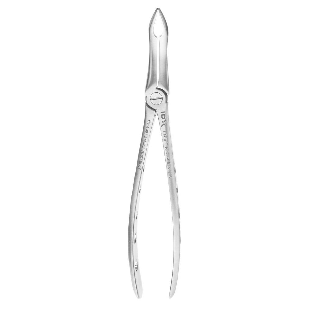Fig.49 Very Fine Upper Roots 18cm