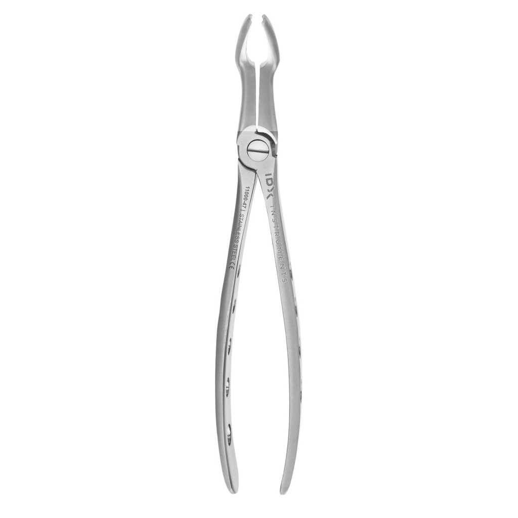 Fig.79 Lower Wisdoms