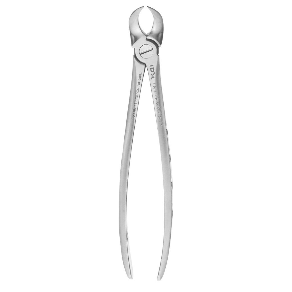 Fig.87 Lower Molars