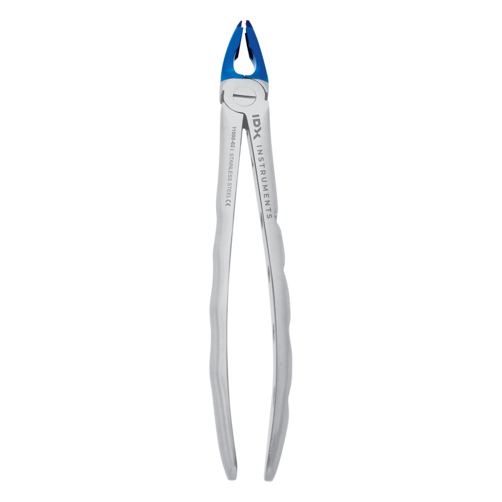 Lower Molars (Adults) Blue 