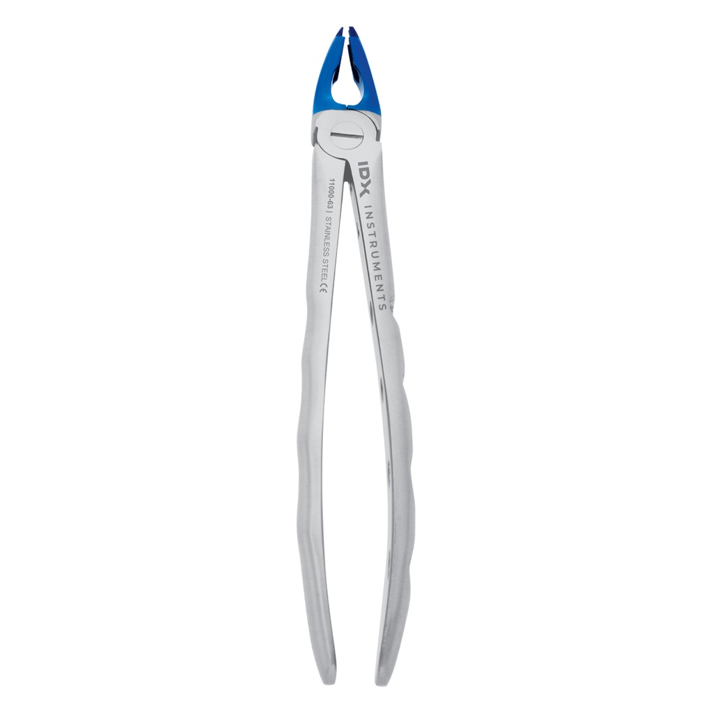 Lower Anteriors (Adults) Blue