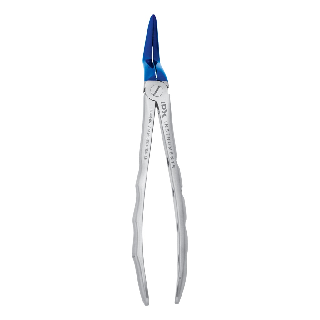 Upper Molars (Adults) Blue 