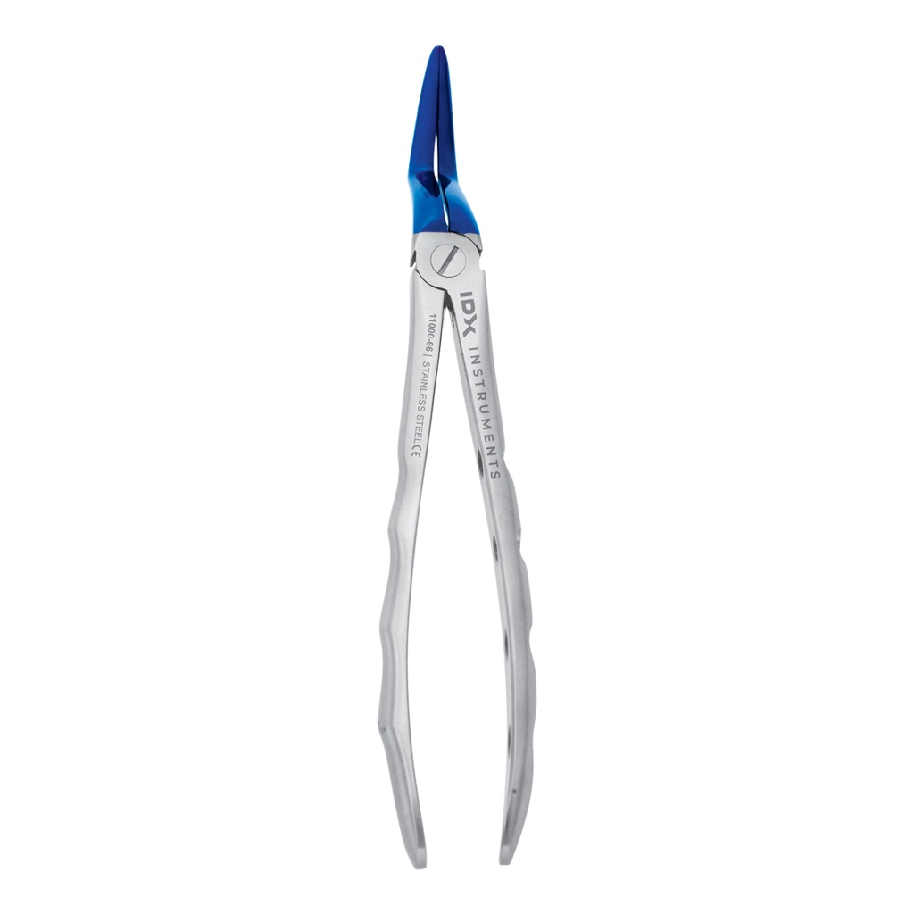 Lower Roots (Adults) Blue 