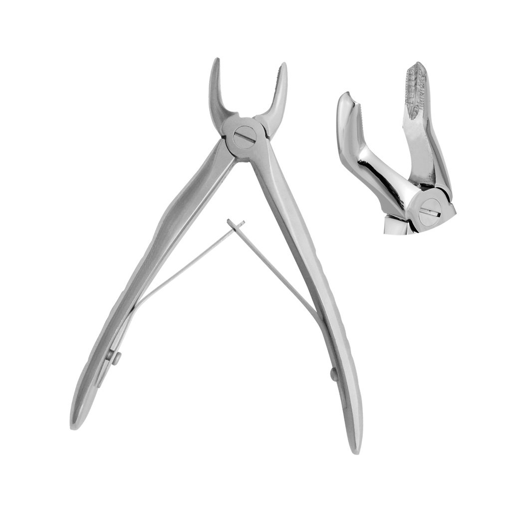 Extracting Forceps Anatomical Handle Klein Upper Molars 10cm