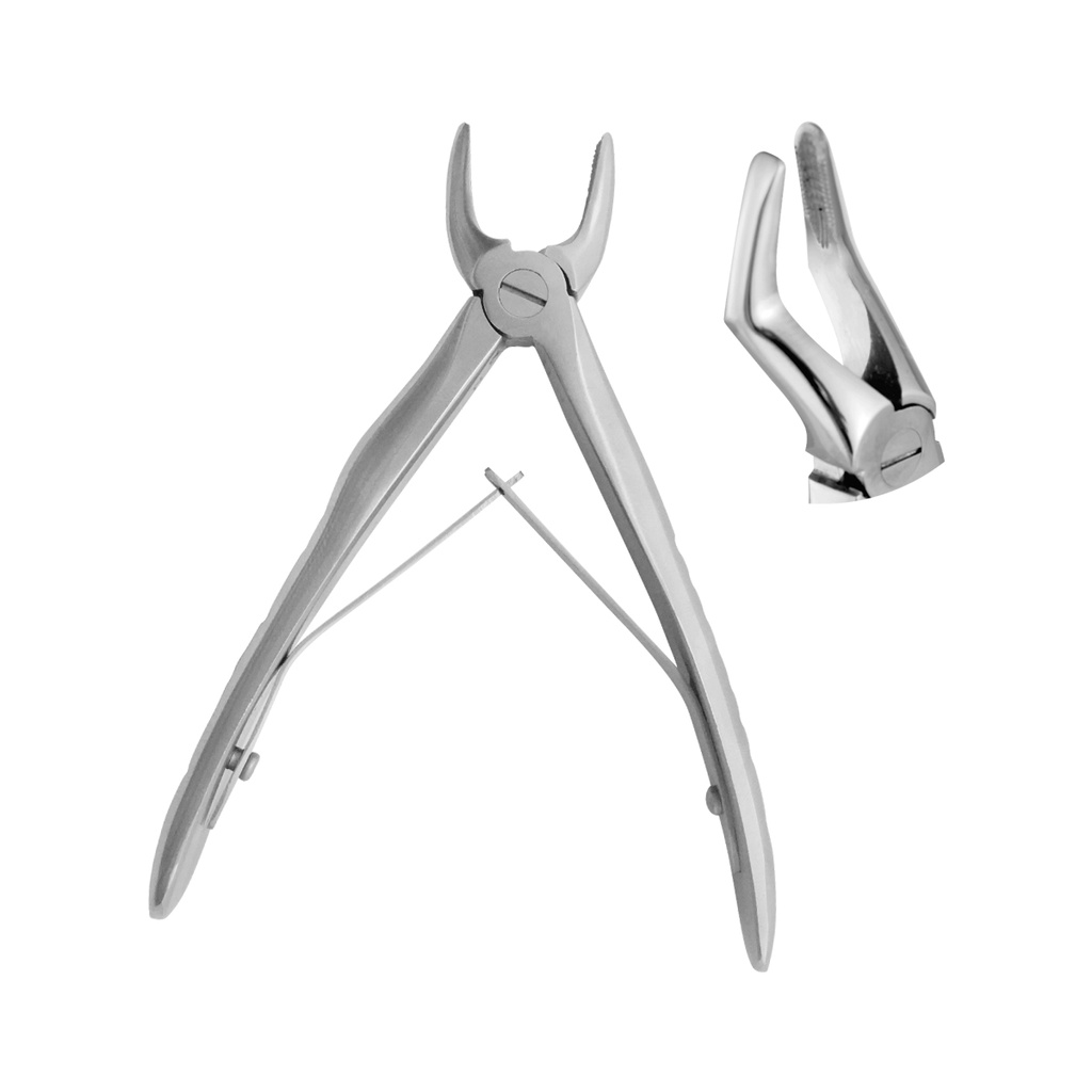 Extracting Forceps Anatomical Handle Klein Upper Roots 10cm