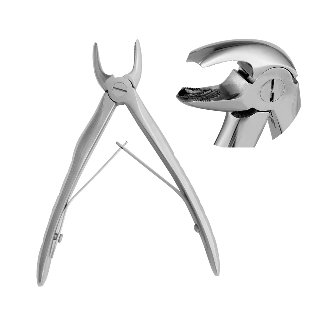 Extracting Forceps Anatomical Handle Klein Lower Molars 10cm