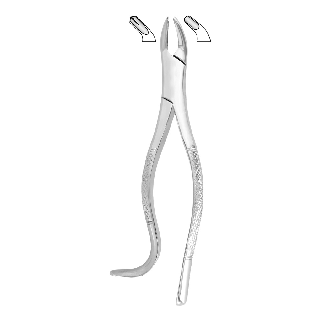 Extracting Forceps (American Pattern) Fig.18R Upper Molars, Right