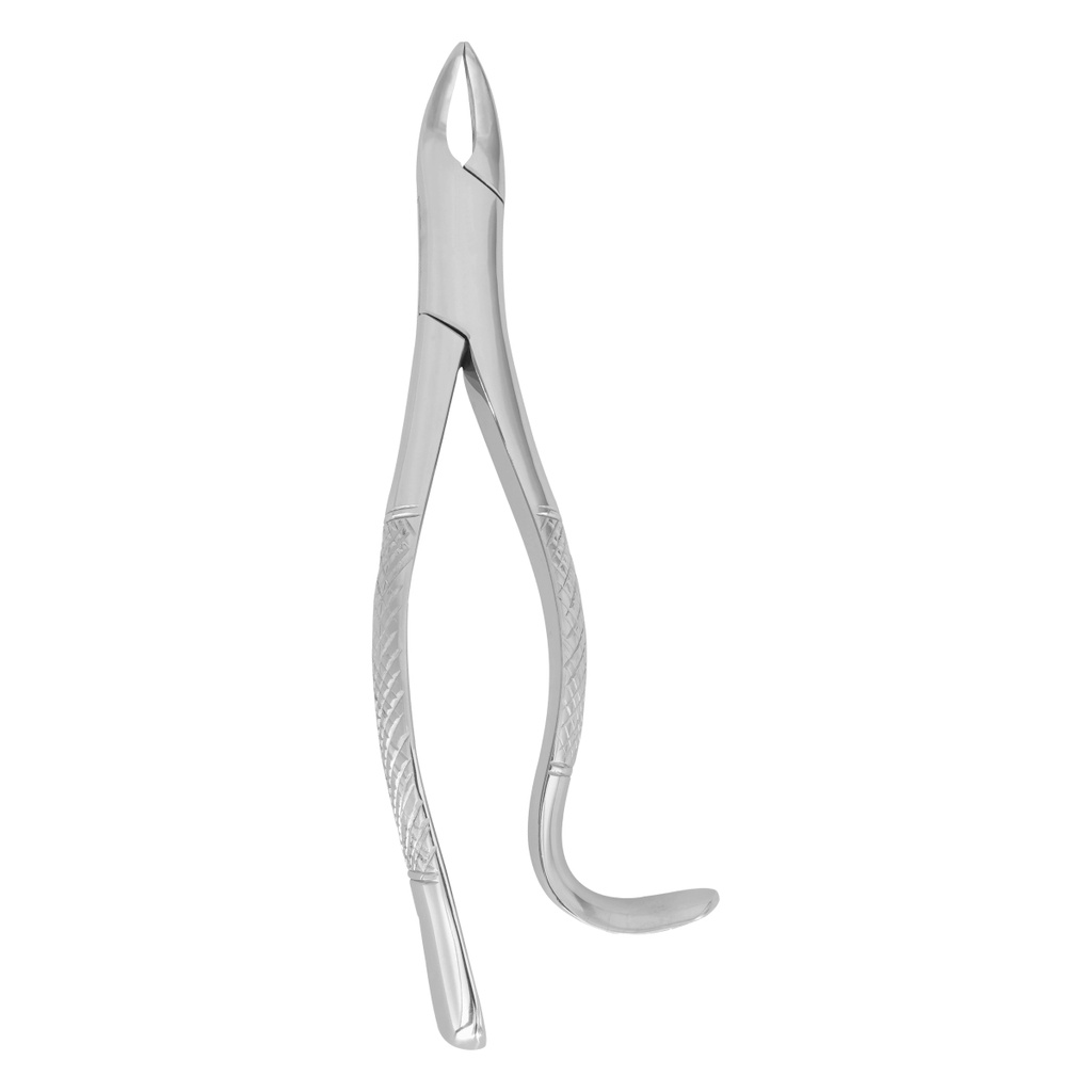 Extracting Forceps (American Pattern) Fig.103 Lower Incisors, Premolars and Roots,either side