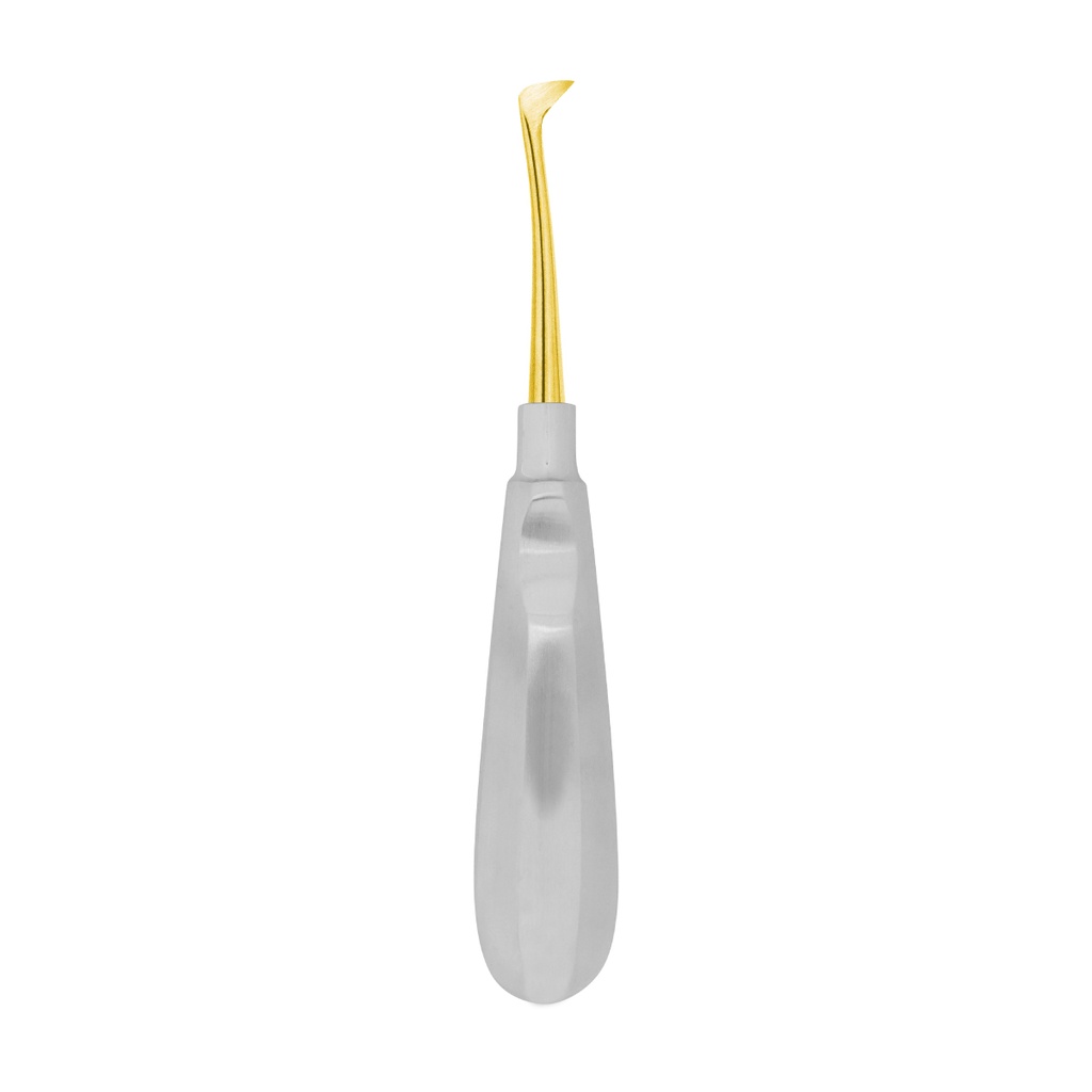 Fig.1L Seldin 13mm Gold