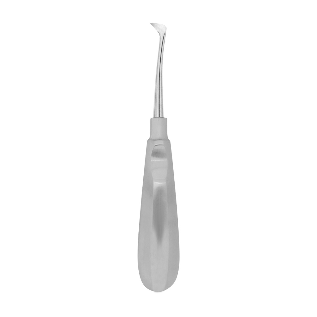 Fig.1R Seldin 13mm