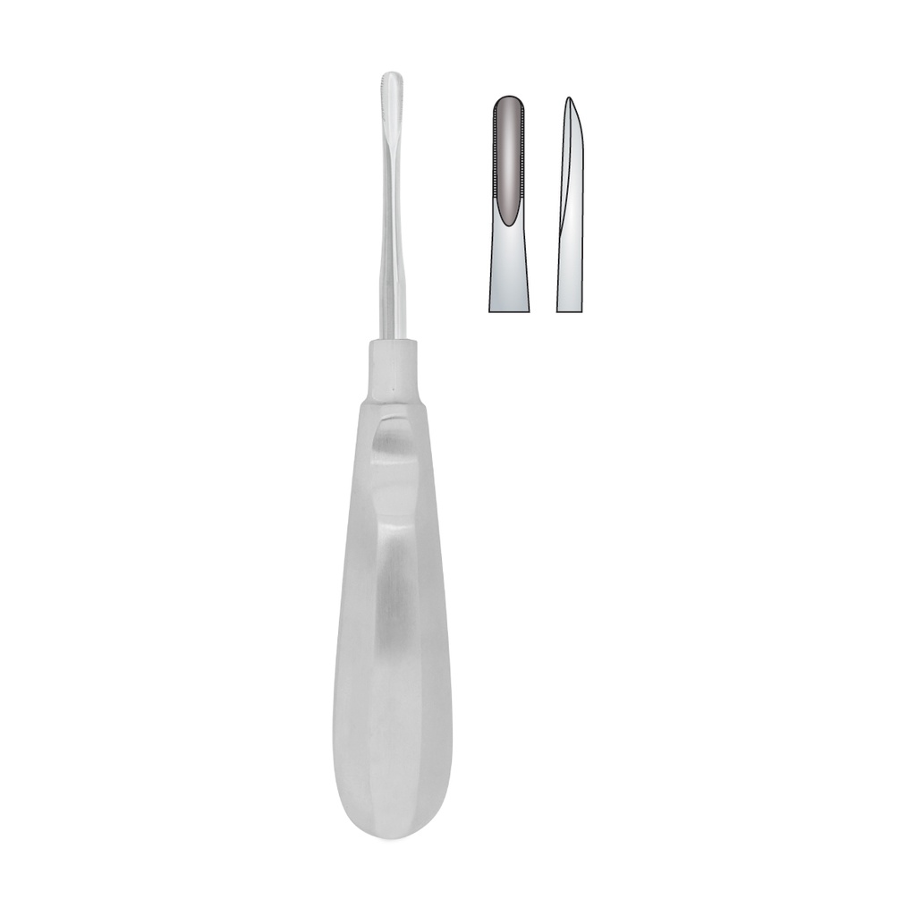 Fig.01 Lindo-Levian 4.2mm