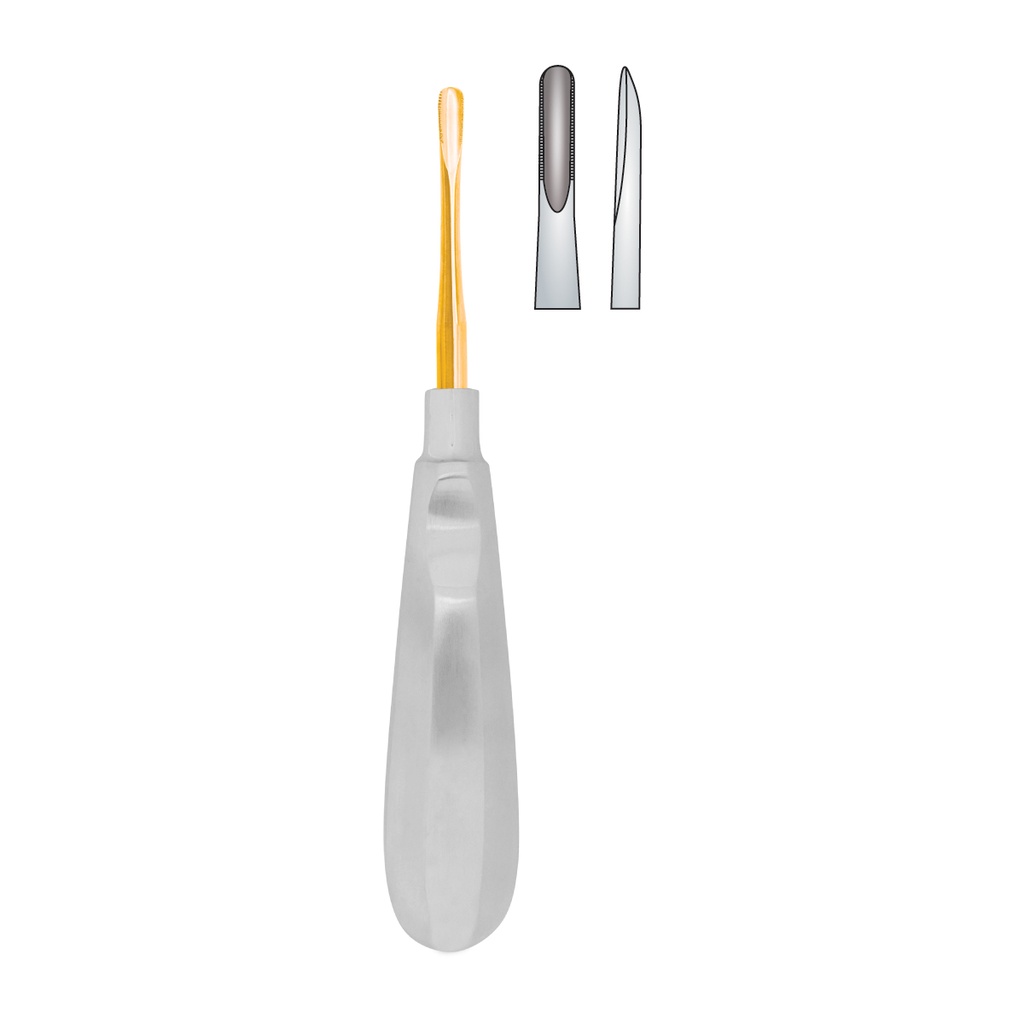 Fig.01 Lindo-Levian 4.2mm Gold