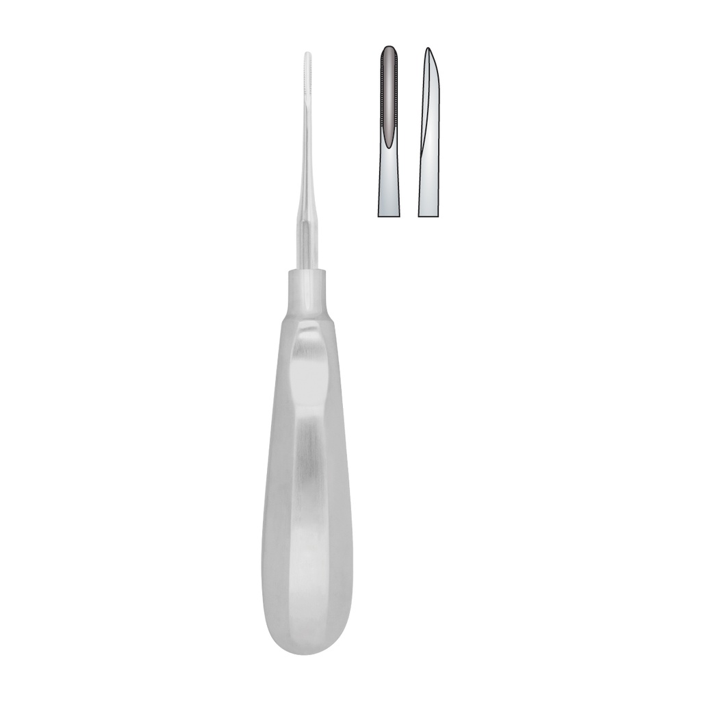 Fig.03 Lindo-Levian 2.3mm