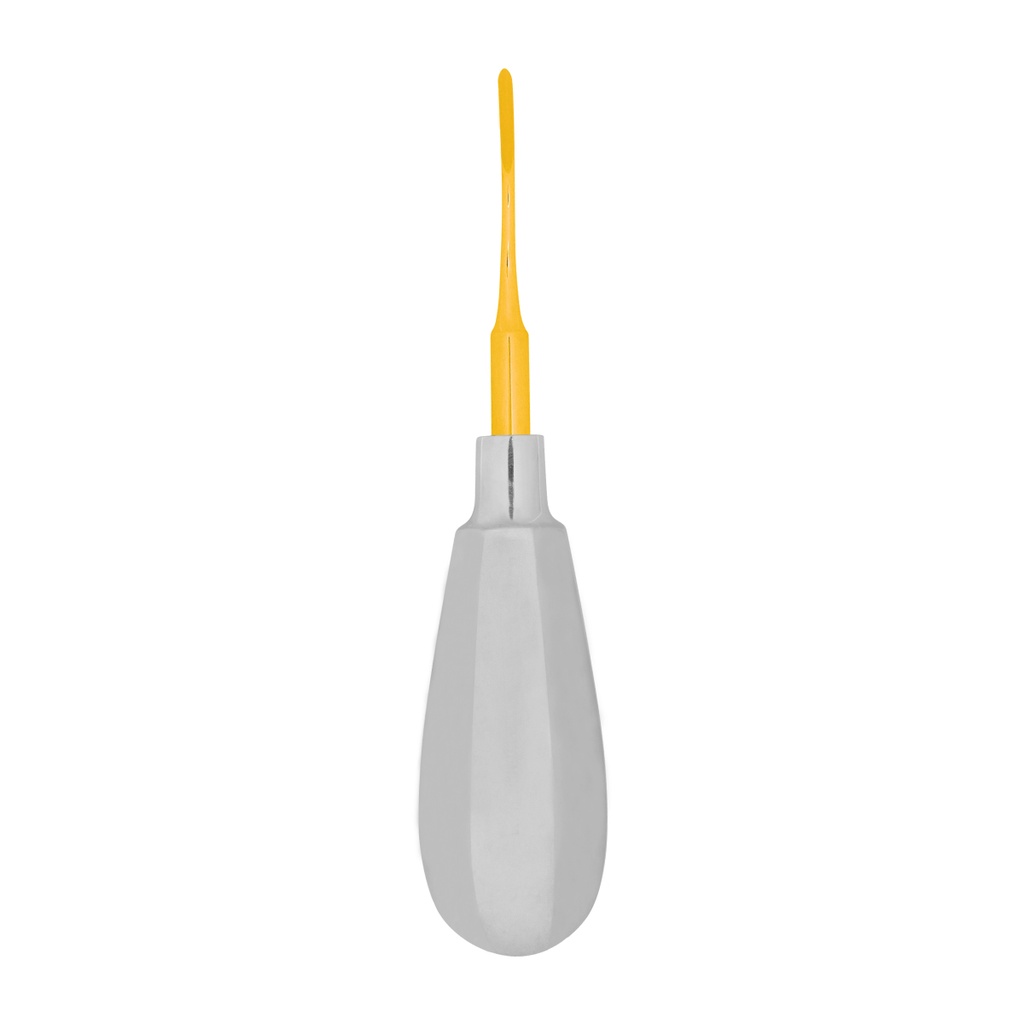Bayonet Mesial 2mm Gold