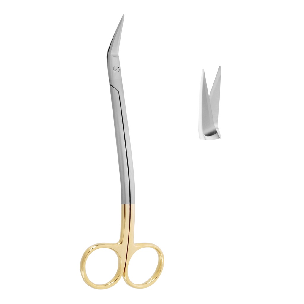 Scissor (TC) Dean Double Curved 17cm Gold