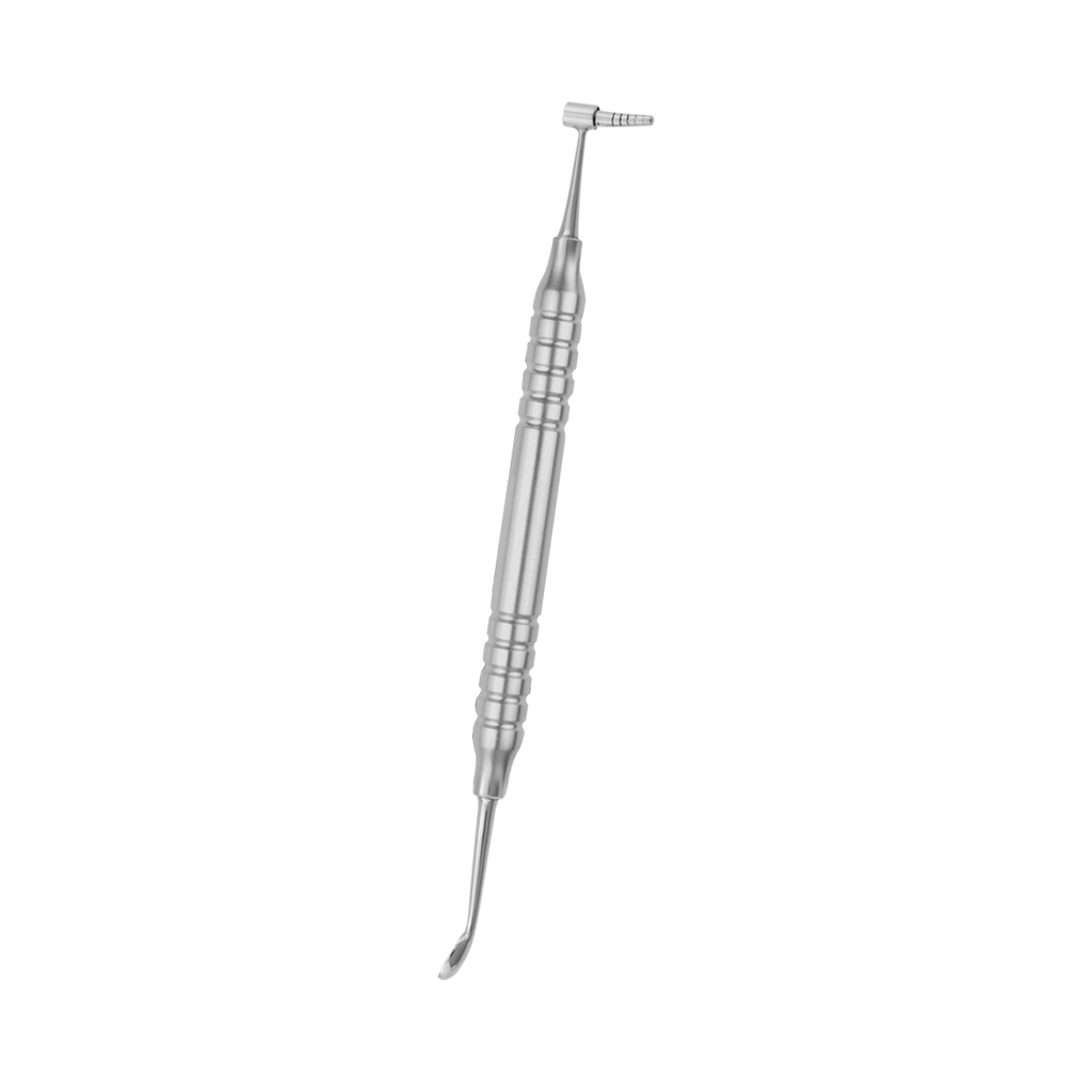 Graft/Carrier 2-4-6-8-10 Anatomical Hollow Handle 10mm