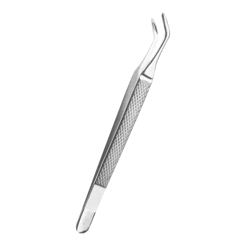 Albrecht Decidiuous Teeth Sharp